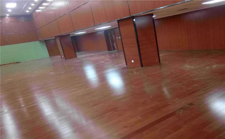 體育館木地板防蛀蟲原來這么多好辦法！