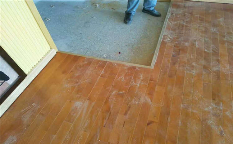 常見的運(yùn)動(dòng)木地板有何種類有哪些