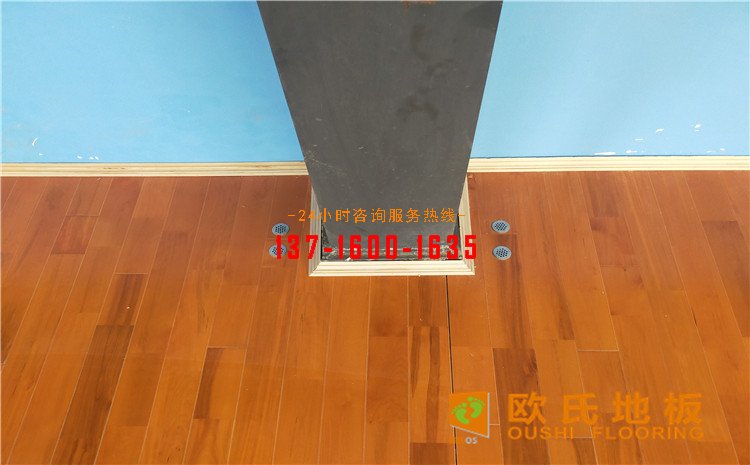 廣東惠來縣羽毛球館木地板案例——?dú)W氏運(yùn)動(dòng)木地板廠家