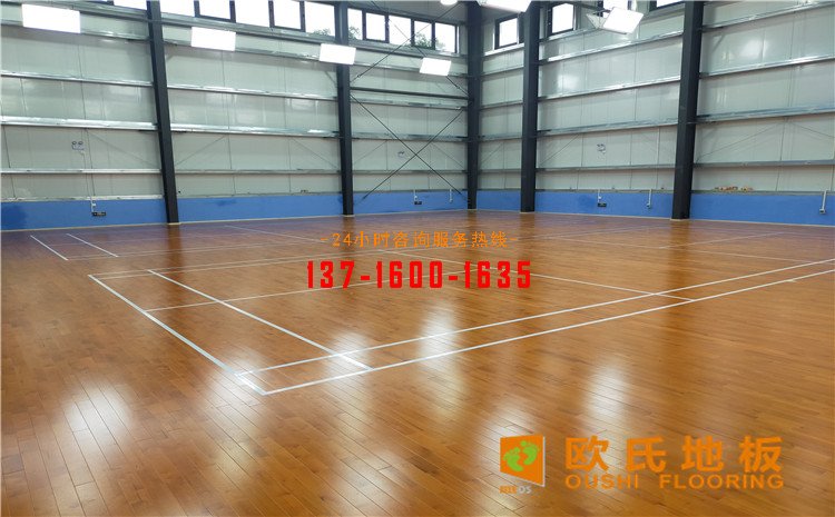 廣東惠來縣羽毛球館木地板案例——?dú)W氏運(yùn)動(dòng)木地板廠家