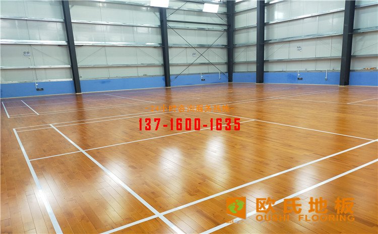 廣東惠來縣羽毛球館木地板案例——?dú)W氏運(yùn)動(dòng)木地板廠家