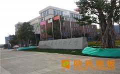 運(yùn)動木地板廠家采購有什么好處