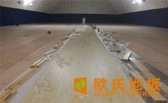 運動木地板如何選購？