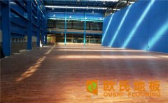 運(yùn)動(dòng)木地板結(jié)構(gòu)系統(tǒng)都有什么？