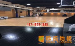 籃球場木地板怎么選？教你
