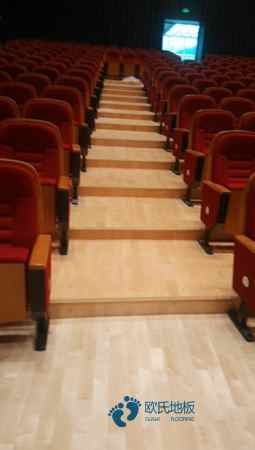 室內(nèi)運(yùn)動木地板什么牌子的好